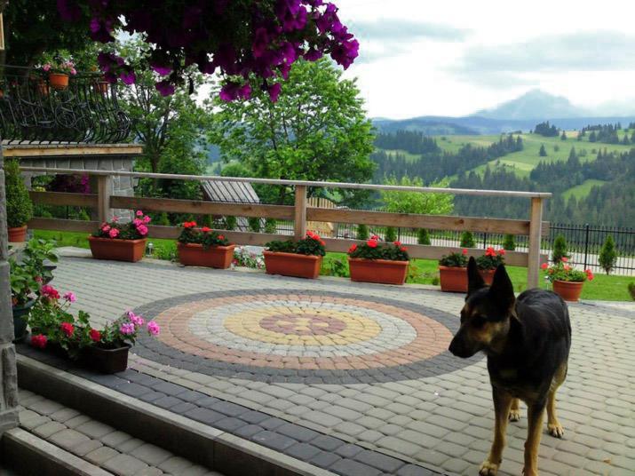 Pensjonat Góralska Chata Bustryk Exteriör bild